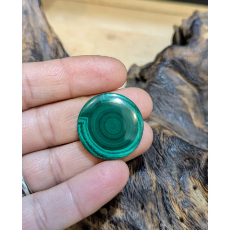 CABOCHON MALACHITE TONDO